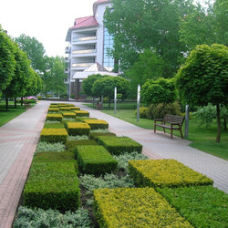 Дизайн ландшафта